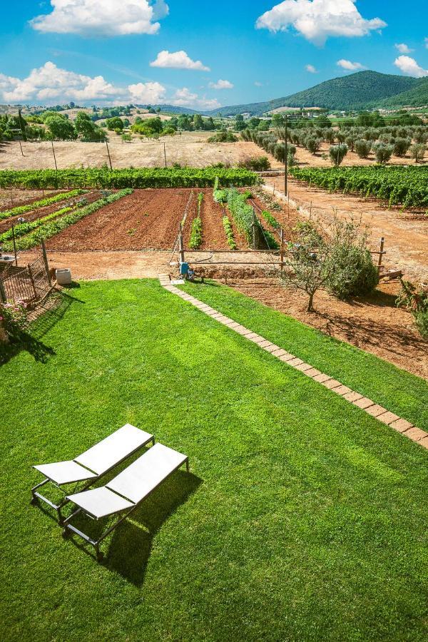 Poggiolivi Agriturismo Bio In Maremma Alberese Extérieur photo
